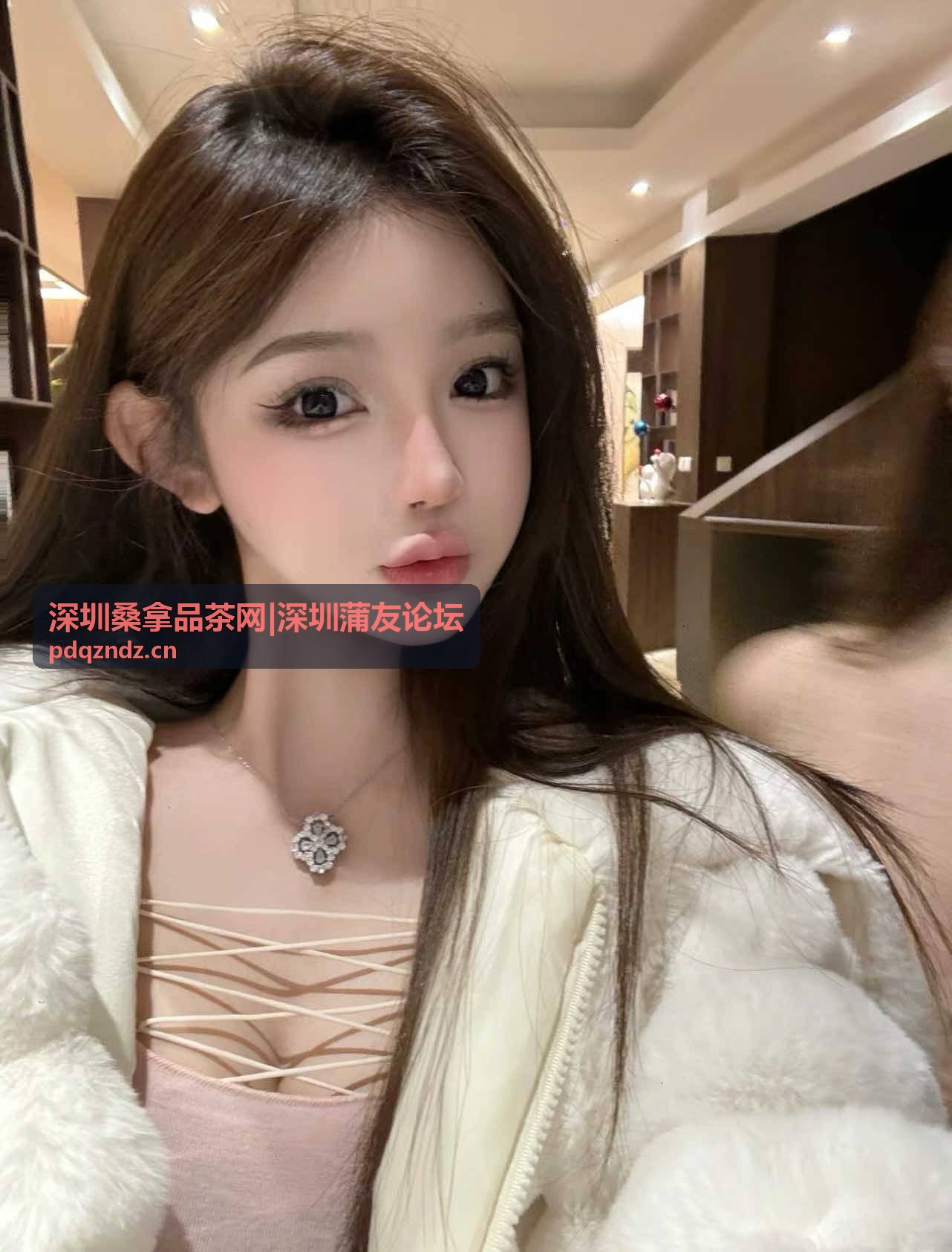 品茶社交指南专题入口封面